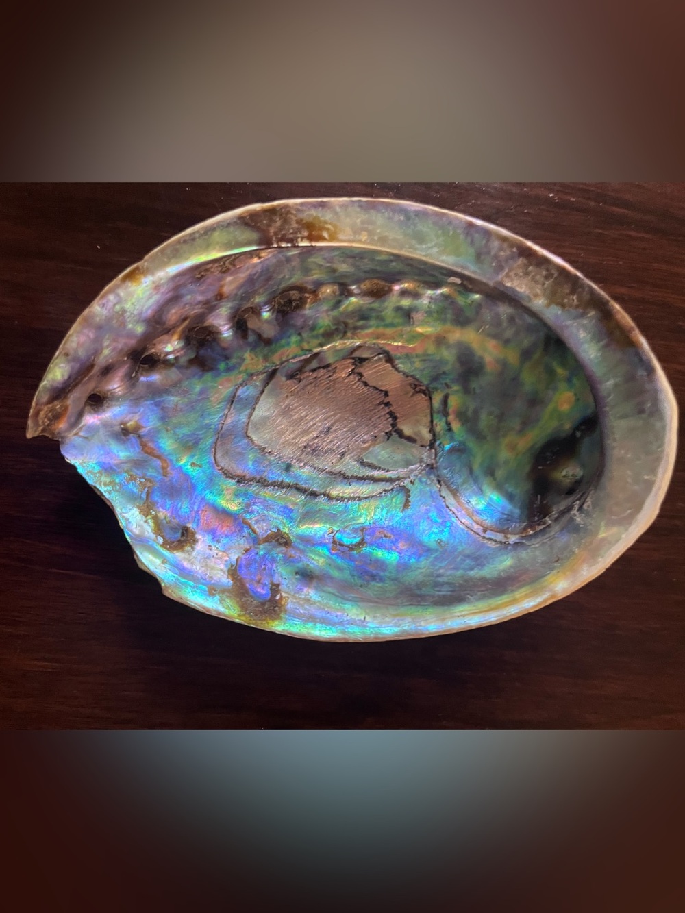 Natural Iridescent Abalone Smudging & Cleansing Shell with character